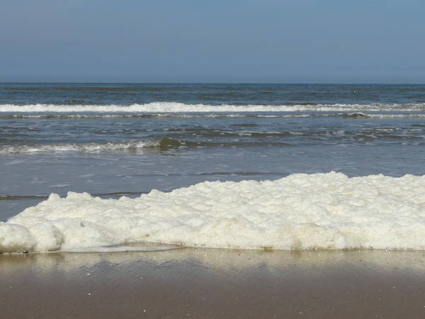 Schaumbildung am Nordseestrand | Foto: Holland.guide